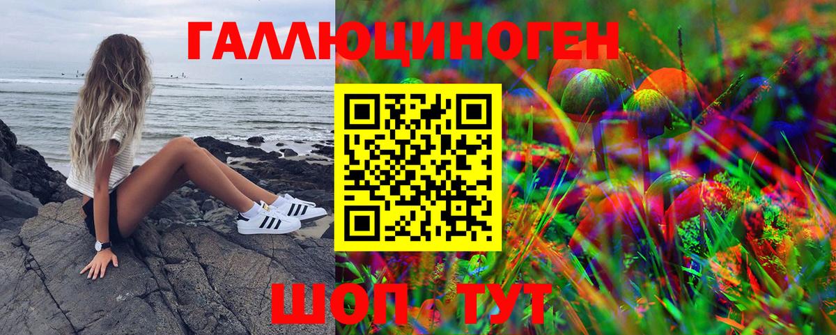 Крымск  Псилоцибиновые грибы Psilocybe  Псилоцибиновые грибы GOLDEN TEACHER  Вход с VPN 
